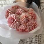 Моно букет из 11 бело-розовых георгинов