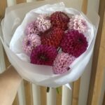 Букет из 9 георгинов