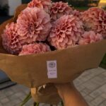Моно букет из георгинов (бело-розовые)