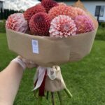 Моно букет из георгинов микс (коричневый, красный, розовый, персиковый, бело-розовый)