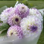 Букет из бело-лиловых георгинов и малины