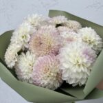Букет из 17 георгинов (белый, бело-лиловый, бело-розовый)