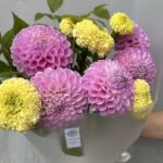 Букет из георгинов и бархатцев