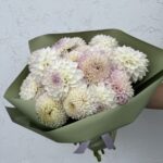 Букет из 17 георгинов (белый, бело-лиловый, бело-розовый)
