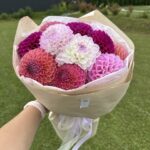 Букет микс из шаровидных георгинов