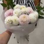 Букет из 11 крупных белых, бело-розовых, розовых, бело-лиловых георгинов