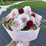 Букет из пудровых и ярко красных георгинов