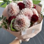 Букет из пудровых и ярко красных георгинов