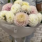 Букет из 11 крупных белых, бело-розовых, розовых, бело-лиловых георгинов