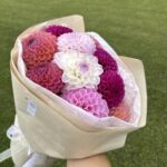 Букет микс из шаровидных георгинов